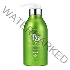 TS 올뉴플러스 TS 샴푸 500g, 1개, 500ml