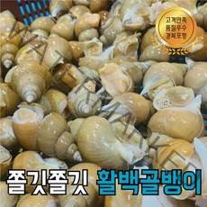 동해안 백골뱅이 생물 당일조업 자연산 생골뱅이 1kg, 상세페이지 참조, 대 1kg (10~15미 내외)