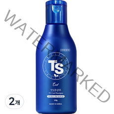 티에스 쿨 샴푸 민트향, 2개, 100g