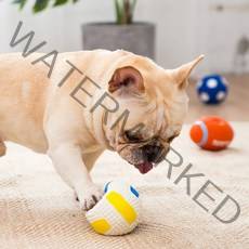 제제펫 라텍스 스포츠 애견 장난감 M, 배구공, 1개