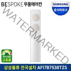 삼성 비스포크 무풍 에어컨 2등급 AF17B7538TZS 전국(기본설치비포함), 일반배관