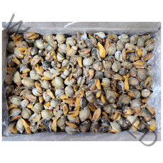 자연산 서해안 골뱅이 10kg 자숙 냉동 골뱅이, 서해안골뱅이_10kg 한박스