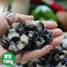 정옥 칼집 넣어 더 맛있는 칼집우렁이 100g 1팩, 100g*5팩
