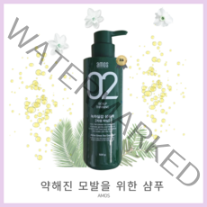 [ 정 품 ] 아모스 녹차실감 산뜻한타입 지성 모발용 샴푸 500g 1개