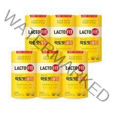 종근당건강 락토핏 골드, 100g, 6개