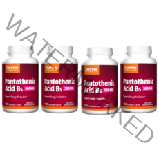 JARROW 판토텐산 B5 100정 4개 Pantothenic Acid 500 mg 100 VEG CAPSULES, 100개입