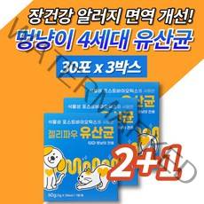 반려견 반려묘 애견 개 강아지 고양이 식물성 유산균 장도착 프로바이오틱스 포스트바이오틱스 식이섬유 북어분말 휴먼그레이드 장 면역 알러지 영양제 아연, 3박스
