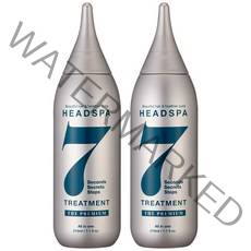 헤드스파 7 더 프리미엄 트리트먼트, 210ml, 2개