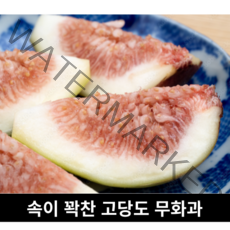 [국내산/국산] 무화과 2kg 1kg (냉동) 당일수확 고당도 생무화과 생 프리미엄 열매 제철 무화 열매 무화과열매 무화과 잼 무화과잼