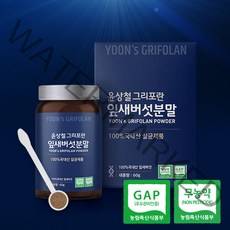 윤상철 무농약 잎새버섯 함량 100% 분말 가루 천연조미료 베타글루칸, 1개(사은품없음), 60g