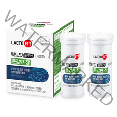 종근당건강 락토핏 솔루션 1 둔감한 장, 50정, 2개