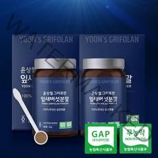 윤상철 무농약 잎새버섯 함량 100% 분말 가루 천연조미료 베타글루칸, 2개 + 선물세트포장, 120g