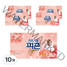 피죤 리치퍼퓸 시그니처 건조기용 시트형 섬유유연제 라 피에스타 본품, 10개, 40매