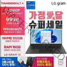 LG그램 14인치 15인치 14ZB90Q 인텔 i7 12세대 16GB 512GB 초경량 999g WIN11 블랙 인강용 사무용, 14ZB90Q-G.AAC6U1, WIN11 Home, 코어i7