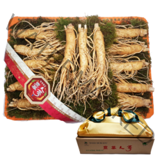 대한인삼사 인삼선물세트 풍기인삼 750g, 풍기인삼 11~15뿌리 750g, 1개