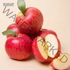 정성담은 아삭한 사과, 8kg(꼬마 소과, 흠과), 1개