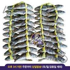 [특가1+1] 놀부장수 영광법성포굴비 40마리 영광굴비, 1.1+1.1kg, 20마리+20마리(40마리)