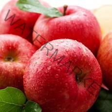 햇 사과 고당도 꿀부사 가정용 경북 산지직송 5kg, 5kg(중과, 17~18과), 1개