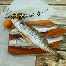 부산 반건조 생선 민어조기 제수용 반찬용 천일염 소금간, 3마리 (32cm 내외 / 200~250g)
