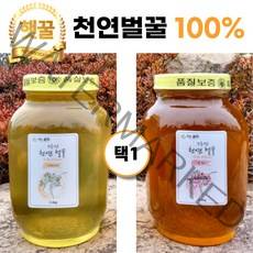 지리산 토종 100% 자연산 아카시아 잡화 국산 천연 벌꿀 2.4kg 1병