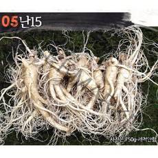 햇수삼!! 삼키우는마을 고려수삼 세척 무세척 수삼 가정용, 05.난15-700g-무료세척