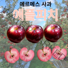 프리미엄 애플피치 복숭아사과 3kg 엔부 피치애플 시나노골드 홍옥 아오리 임신부 제철과일 선물세트 별사과, 1개