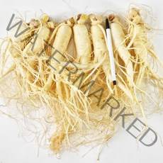 4년근 5년근 삼 인삼수삼 세척인삼 진공포장 원수삼 특대 500g 750g 1kg, (무료세척)원수삼 특대 7뿌리 750g