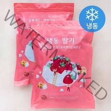 중국산 딸기 (냉동), 1kg, 2개