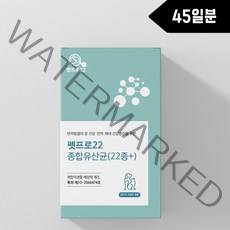 펫프로22 일본수출용 강아지 고양이 유산균, 1통 45일분