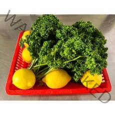 국내산 생파슬리 300g 600g 1kg 오일만주스 키트( 파슬리 300g + 레몬5개) 파세리, 오일만주스키트(파슬리300g+레몬5개)