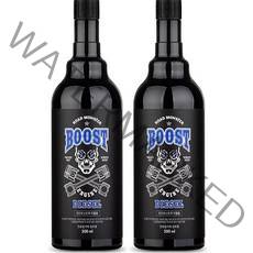 로드몬스터 디젤용 엔진부스트팩 300ml, 2개, 디젤/경유