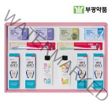 부광 선물세트 드림2호 명절선물 추석 설날 답례품 쇼핑백포함