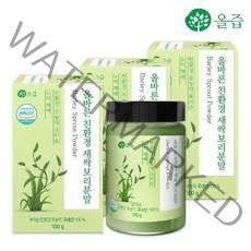 [올즙] 올바른 친환경 새싹보리분말 100g x 3병, 기타, 기타