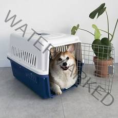 딩동펫 반려동물 항공켄넬, 네이비