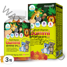 네추럴라이즈 멀티비타민 꾸미 60p, 60정, 3개