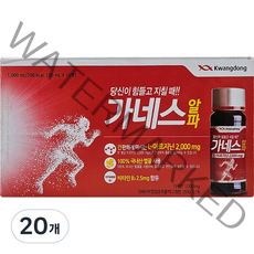 광동 가네스 알파, 100ml, 20병