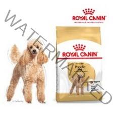 로얄캐닌 독 푸들 어덜트 3kg (1.5kg+1.5kg), 단품