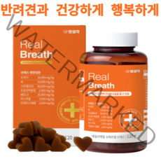 펫생각 강아지 기관지 면역력 영양제 데일리케어, 1개(2개월분)