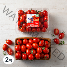 충남세도 GAP 인증 대추방울토마토, 750g, 2팩