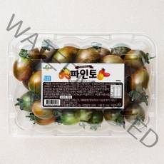 파인토 스테비아 흑방울토마토, 500g, 1개