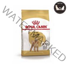 로얄캐닌 어덜트 푸들 강아지 사료 건식사료, 곡물, 4.5kg, 1개