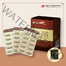 대동고려삼 홍삼분말캡슐 240캡슐 진세노사이드 7.2mg 4개월분, 1개