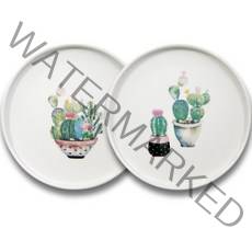애슐리 캑터스 선인장 원형 접시 2종 세트, B 혼합색상, 1세트