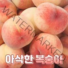 충북 영동 아삭 달콤 딱딱이 복숭아, 1개, 아삭이복숭아 4kg 대과(18~21과)