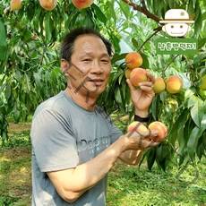 영동 산지에서 보내드리는 복숭아(초극천/대극천) 1kg, 대극천 1kg