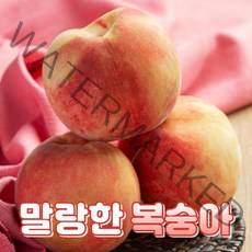 충북 영동 부드러운 말랑이 복숭아, 1개, 말랑이복숭아 4kg 특과(14~17과)