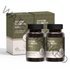 웰빙곳간 프리미엄 보스웰리아 MAX 1000mg 120정, 2개