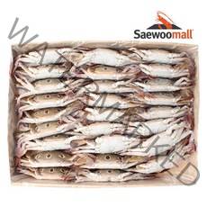 새우몰 삼점 숫꽃게(중) 3kg 25미내외 양념게장 꽃게탕, 1개, 1개