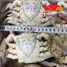 장안씨푸드 국내산 급냉 냉동 알배기 암꽃게 일키로 4마리내외, 1kg, 1box