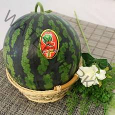 고당도 하우스 꿀수박 가정용 7kg 1통 자연대로팜웨이, 1개